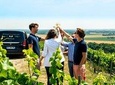 Champagne Day Trip to Moët et Chandon and Family Winery with Lunch from Epernay