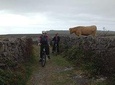 Guided Tour of the Burren on Electric Bikes