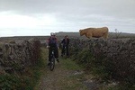 Guided Tour of the Burren on Electric Bikes