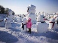 4-Day Private Harbin Tour Combo Package of Winter Highlights with Meal Options