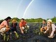 Volcano Unveiled Tour in Hawaii Volcanoes National Park