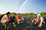 Volcano Unveiled Tour in Hawaii Volcanoes National Park
