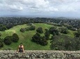 Shore Excursion: Half-Day Auckland Volcanoes Tour