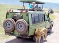Private 11 Days Best of Kenya & Tanzania Big 5 Safari