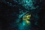 3-Day Waitomo, Rotorua & Hobbiton Tour from Auckland