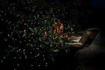 Private Mangrove Cruise with Fireflies Tour Including Seafood Dinner from Sandakan