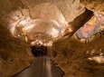 Half Day Tour Lascaux IV from Sarlat