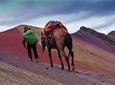 Best Rainbow Mountain Hike 1 Day