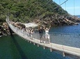 Cape2Addo Safari Adventure