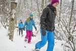 Quebec City Snowshoeing Tour