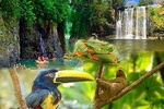PRIVATE SLOTH ENCOUNTER WATERFALL AND COROBICI FLOATING TOUR