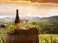 Private tour from Livorno port to Chianti Wine Region