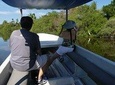 3 Palos Lagoon Jungle Tour Baby Turtle Release Boat Ride, Lunch Drinks