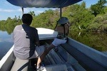 3 Palos Lagoon Jungle Tour Baby Turtle Release Boat Ride, Lunch Drinks