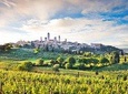 Private tour from Livorno port to San Gimignano & Volterra