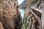 Caminito del Rey Private Tour From Malaga and Surrondings areas