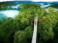 Day trip from San Jose to Monteverde Cloud Forest & Sky Adventure Park