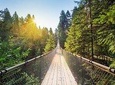 Seaplane Tour with Admission to Capilano Suspension Bridge Park