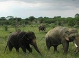 Pickup Jaipur & Visit To Tajmahal & Wildlife SOS agra with Private Transports
