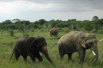 Pickup Jaipur & Visit To Tajmahal & Wildlife SOS agra with Private Transports