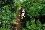 All Weather Activity:Interactive Cenote,Ziplines,Atvs,Spider Web,Horseback Riding!!