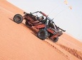4 in 1 Desert Experience |Buggy Tour| Camel Trekking| Dune Drive| Private Dinner