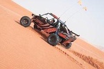 4 in 1 Desert Experience |Buggy Tour| Camel Trekking| Dune Drive| Private Dinner