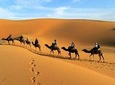 2 Days Zagora Desert Tour from Marrakech, Including Camel Trek and Desert Camp