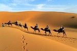 2 Days Zagora Desert Tour from Marrakech, Including Camel Trek and Desert Camp