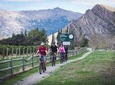 Bike The Wineries Half Day Tour Queenstown