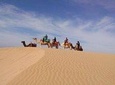 3-hour Dromedary Ride in Essaouira with Diner and Overnight