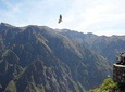 Tour Colca Canyon 2d -1n From Arequipa, Ending In Puno