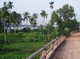 Cycling to CuChi tunnels - single track ride along Saigon river. 