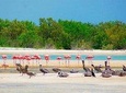 HOLBOX ISLAND TOUR from Riviera Maya and Cancun (Private)