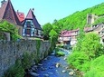 Villages of Alsace half day tour from Colmar