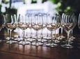 Customized private winery day tour in Mornington Peninsula at your own choices