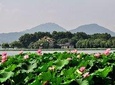 Flexible Hangzhou Private Day Tour from Nanjing by Bullet Train
