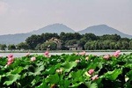 Flexible Hangzhou Private Day Tour from Nanjing by Bullet Train