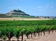 Premium Ribera del Duero wine tour with lunch & hotel pick-up