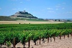 Premium Ribera del Duero wine tour with lunch & hotel pick-up