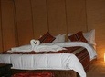 camel trips luxury camp 
