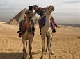 Full day tour to Giza Pyramids& Sphinx, Sakkara and Memphis