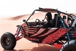  1 Hour - Fossil Rock Dune Buggy Tour