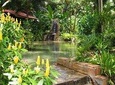 Private Konoko Falls and Dunn's River Combo Tour from Ocho Rios