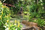 Private Konoko Falls and Dunn's River Combo Tour from Ocho Rios