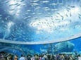 Nha Trang: Discover Nha Trang Beautiful Islands & Snorkeling Tour