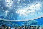 Nha Trang: Discover Nha Trang Beautiful Islands & Snorkeling Tour