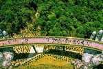 Private Car from Da Nang to Golden Bridge and Marble Mountain and Back