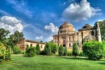 Private Session For Yoga and Meditation Experience at Lodhi Garden