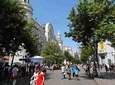 2-Hour Harbin City Tour